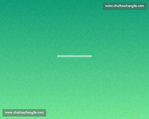 布朗尼休赛期特训揭秘：从发展联盟逆袭到夏季联赛的蜕变之路